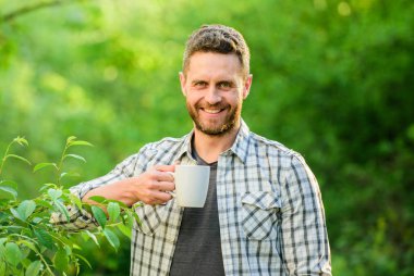 Ferahlatıcı bir içki. Adam sakallı çay çiftçi kupa doğa arka plan tutun. Yeşil çay tarlası. Bütün yaprak çayı. Mükemmel bir tat. Sıcak içeceklerin tadını çıkarın. Doğal içecek. Sağlıklı yaşam tarzı. Yeşil çayı tercih ederim.