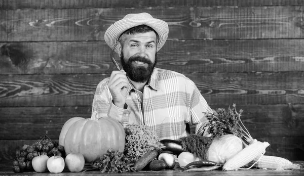 Agricultor apresentando pimenta quente fundo de madeira pimenta. Homem tem colheita de pimenta. Agricultor barbudo segurar pimenta na mão. Conceito de colheita de pimenta. Fazendeiro rústico em chapéu de palha gosta de sabor picante — Fotografia de Stock