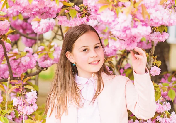 Dziecko na różowe kwiaty z drzewa Sakura tle. Dziewczyna korzystających kwiat wiśni lub Sakura. Cute dziecko cieszyć ciepły dzień wiosny. Koncepcja kwitnienia aromatycznego. Dziewczyna turystyczny stwarzające w pobliżu Sakura. Delikatny rozkwit — Zdjęcie stockowe