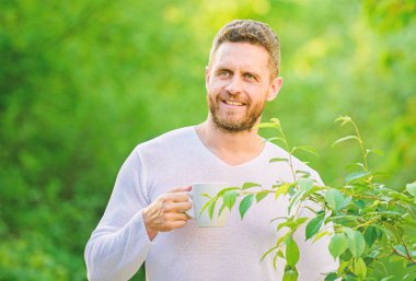Yeşil çay sağlığını geliştirmek biyoaktif bileşikler içerir. Doğal içecek. Sağlıklı yaşam tarzı. Yeşil çayı tercih ederim. Ferahlatıcı bir içki. Adam sakallı çay çiftçi kupa doğa arka plan tutun. Bütün yaprak çayı