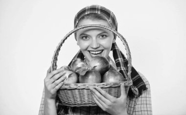 Mükemmel elma. Bakkal. Elma diyetine başlayın. Kadın doğal meyveleri sever. Çiftçi bahçıvan elma hasadı. Kız bahçıvan rustik tarzı elma beyaz arka plan tutun. Sağlık ve vitamin beslenmesi