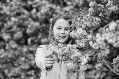 Pembe çiçekler sakura ağaç arka plan üzerinde Çocuk. Alerji ilacı. Çocuk alerjisi olmadan hayatın tadını çıkarın. Çiçek koklamak. Çiçek aroması zevk kız. Polen alerjisi kavramı. Çocuk kiraz çiçeği sakura tadını çıkarın