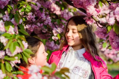 Çocuklar kiraz çiçeğinin tadını çıkarıyor. Pembe bizim favorimiz. Çiçekler yumuşak ihale çiçek. Çocuklar bahar bahçesinin tadını çıkarırlar. Sakura bahçesi. Kız kardeşler parksa ağaçları yürümek. Sakura ağacı arka plan Çocuk pembe çiçekler