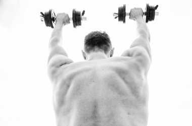 vücudunuzun uygun ve kilo. atletik vücut. Halter spor salonu. fitness ve spor ekipmanları. adam sporcu halter. Steroid. Kas lı adam sabahları barbell ile egzersiz. Mükemmel bir gün