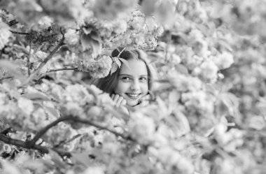 Çiçekte kaybolmuş. İhale çiçeklenme. Sakura'nın yanında poz veren kız turist. Sakura ağacı arka plan pembe çiçekler üzerinde Çocuk. Botanik kavramı. Kiraz çiçeği sakura zevk kız. Sevimli çocuk sıcak bahar günü keyfini çıkarın