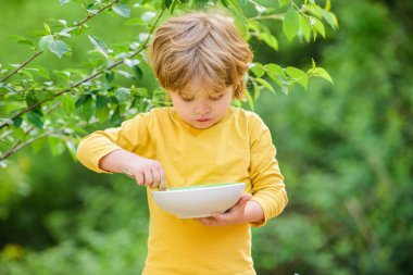 Beslenme alışkanlıkları. Çocuk kaşık tutuyor. Küçük çocuk ev yapımı yemeğin tadını çıkarır. Çocuklar için beslenme. Küçük küçük çocuk açık havada lapa yiyor. Çok iştahlı. Organik beslenme. Sağlıklı beslenme kavramı