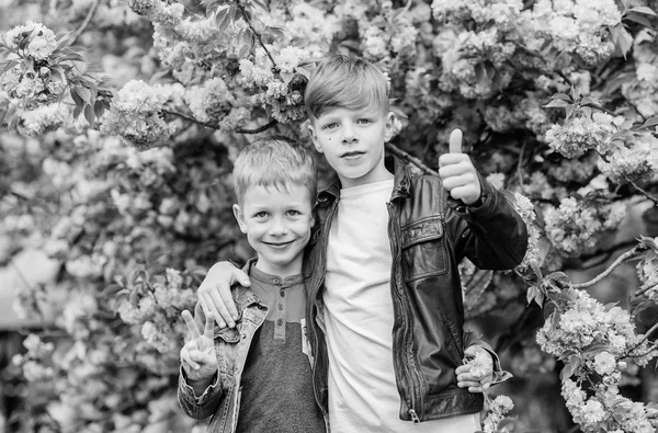 Happy spring holidays. Children enjoy warm spring. Boys posing near sakura. Kids spring pink flowers of sakura tree background. Botany concept. Brothers enjoying cherry blossom. Brotherhood concept