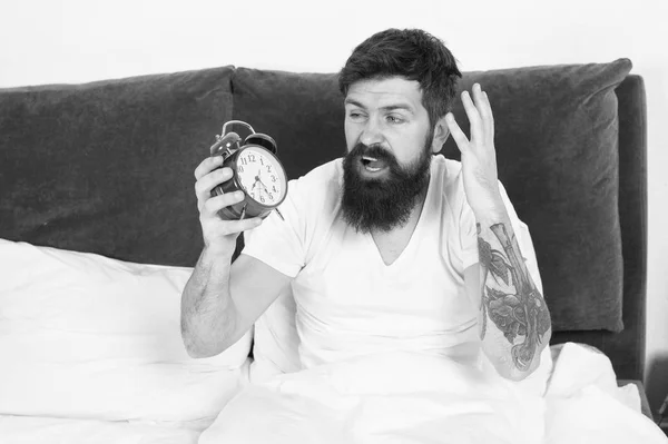 Get up with alarm clock. Overslept again. Tips for waking up early. Tips for becoming an early riser. Man bearded hipster sleepy face in bed with alarm clock. Problem with early morning awakening