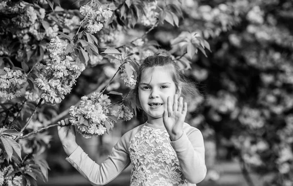 Zelená rostlina. Letní. Dětská krása. šťastná dívka v třešňově květině. Kvetoucí strom Sakura. vůně, alergie. na potřebou. Přírodní kosmetika pro kůži. malé děvčátko v květinové květu — Stock fotografie