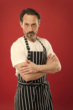 Yardımcı olmaya hazır. Ev yaşlı ustası. Sakallı olgun erkek çizgili önlük. Üst düzey aşçı önlüğü önlük giyiyor. Önlük pişirme olgun kişi. Ev yapıyor. Ev yemekleri