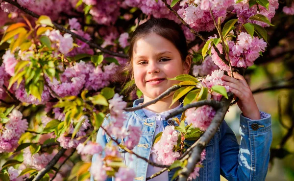 스킨케어 스파. 피부를위한 천연 화장품. 벚꽃에 행복한 소녀입니다. 벚꽃 나무가 만발합니다. 봄 꽃 꽃에 작은 소녀. 여름. 어린 시절의 아름다움. 꽃 냄새, 알레르기. 여름 컬렉션 — 스톡 사진