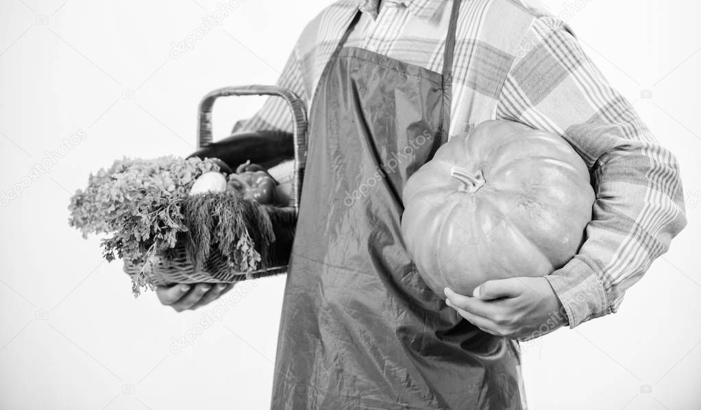 Farming and agriculture. Farmer wear apron hold pumpkin white background. Agriculture concept. Locally grown foods. Farmer guy carry big pumpkin. Local farm. Farmer lifestyle professional occupation