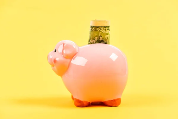 retirement. family budget. success in finance and commerce. getting rich. income. saving money. business startup. financial position. piggy bank with golden coin stack. Moneybox. Money and finance