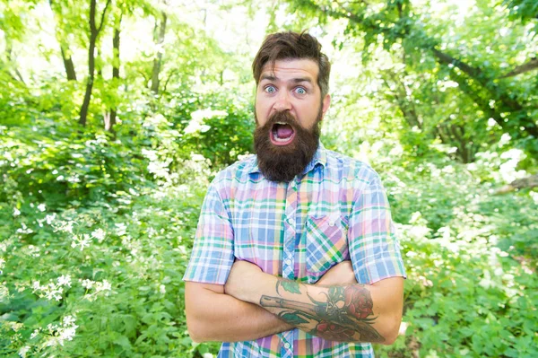 Concept vacances d'été. Unis avec l'environnement. Homme barbu hipster fond d'arbres verts. Amoureux de la nature émotionnelle. Guy se détendre dans la nature estivale. Homme belle barbe et moustache dans la forêt d'été — Photo