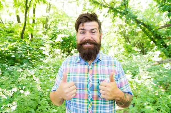 Concept vacances d'été. Homme barbu hipster fond d'arbres verts. Amoureux de la nature émotionnelle. Guy se détendre dans la nature estivale. Homme belle barbe et moustache dans la forêt d'été. Unis avec l'environnement — Photo