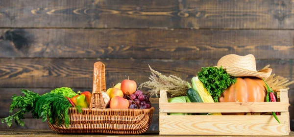 Nur aus dem Garten. Lieferservice frisches Gemüse vom Bauernhof. Kaufen Sie frisches Gemüse aus eigenem Anbau. Hervorragende Qualität Gemüse. Box oder Korb Ernte Gemüse hölzernen Hintergrund. Lebensmittelgeschäft-Konzept — Stockfoto