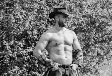 Maço altı paketleri gövde rustik tarzı giysiler ve kovboy şapkası giymek. Güçlü ve kendine güvenen kovboy. Rancho'nun sahibi. Adam traşsız yüz kaslı gövde kovboy. Çiftlik konsepti. Adam doğada sakallı kovboy