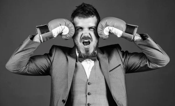 powerful man boxer ready for corporate battle. businessman in formal suit and bow tie. bearded man in boxing gloves punching. knockout and energy. Fight. Business and sport success. Billionaire