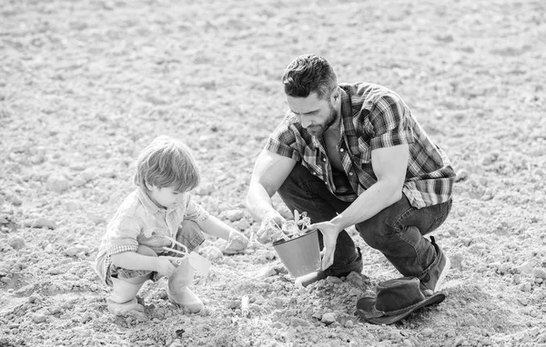 new life. soils and fertilizers. father and son planting flowers in ground. rich natural soil. Eco farm. earth day. earth day. Family tree. small boy child help father in farming. Gifts of nature