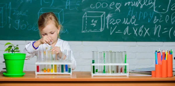 학교 화학 실험. 학교 교육. 흥미로운 접근 법을 배울 수 있습니다. 아이는 실험을 좋아합니다. 탐색 및 조사. 학교 수업. 소녀 귀여운 학생 놀이 와 시험관 과 다채로운 액체 — 스톡 사진