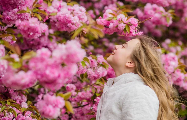 Fille appréciant l'arôme floral. Enfant sur des fleurs roses de fond d'arbre sakura. Concept botanique. Enfant appréciant le sakura de fleurs de cerisier. Fleurs comme des nuages rose doux. Je renifle des fleurs. Enfant profiter du printemps chaud — Photo