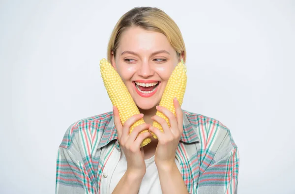 Кукурудзяний урожай. Дівчина тримає стиглу кукурудзу. Харчові вегетаріанські та здорові натуральні органічні продукти. Вегетаріанське меню. Концепція здорової їжі. Їжа приносить щастя. Жінка тримає жовтий кукурудзяний коб білий фон — стокове фото
