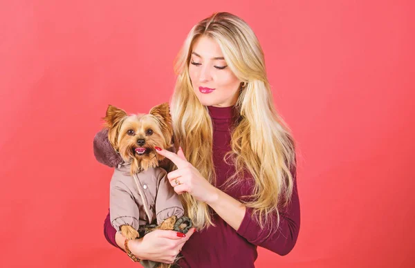 Apparel and accessories. Dressing dog for cold weather. Which dog breeds should wear coats. Girl hug little dog in coat. Woman carry yorkshire terrier. Make sure dog feel comfortable in clothes