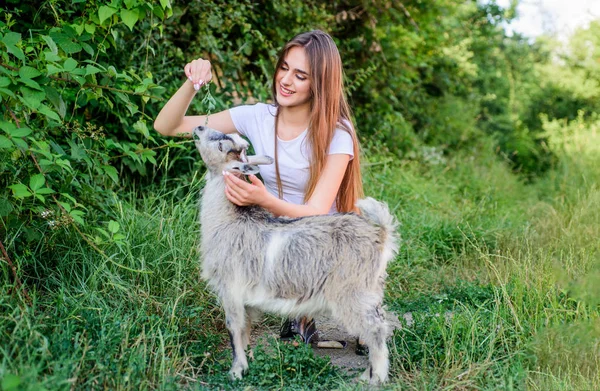 모든 동물은 다릅니다. 염소를 먹이는 여자 수의사. 농장과 농업 개념. 동물은 우리의 친구입니다. 행복한 소녀 사랑 염소. 마을 주말. 여름날. 동물을 사랑하고 보호하십시오. 수의사 염소 — 스톡 사진