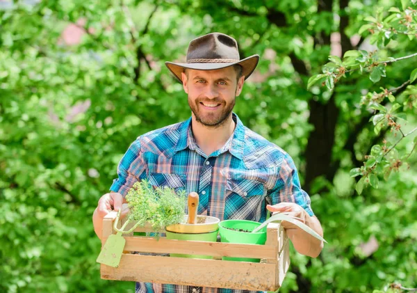 Tips voor tuinieren expert. Tuin zorg. Volwassen boer man planten planten. Plant seizoen. Bearded tuinman Guy Hold vak met bloempot en schoffel tuinieren tool. Tuinadvies van professionele — Stockfoto