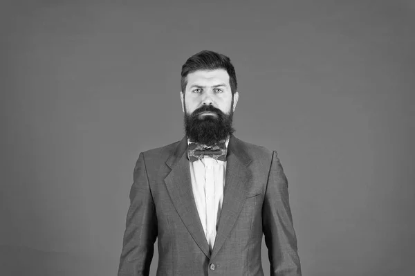 Delight in the details. Business success. Mature businessman. Bearded man hipster in bow. fashion look. Stylish businessman. Bearded man in formal suit. Successful businessman. Confident businessman — Stock Photo, Image