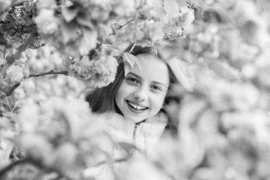 İhale çiçeklenme. Sevimli çocuk ılık bahar günü tadını çıkarın. Çiçekte kaybolmuş. Sakura'nın yanında poz veren kız turist. Sakura ağacı arka plan pembe çiçekler üzerinde Çocuk. Botanik kavramı. Kiraz çiçeği sakura zevk Kız