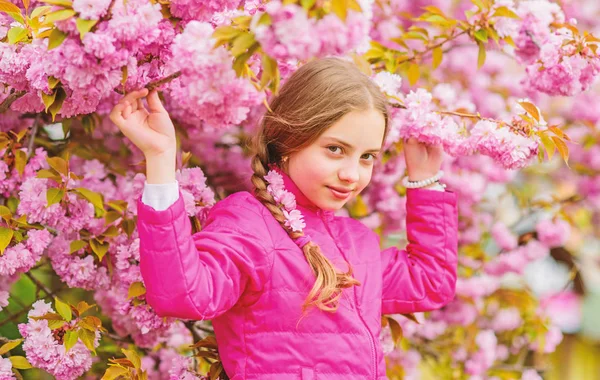 La niña disfruta de la primavera. Niño sobre flores rosadas de sakura fondo del árbol. Chico disfrutando de flor de cerezo rosa. Flor tierna. El rosa es el color más femenino. Brillante y vibrante. El rosa es mi favorito — Foto de Stock