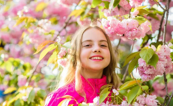 Małe dziecko dziewczyna wiosną kwitną kwiat. Ciesz się zapachem delikatna kwitnienia. Koncepcja kwiatów Sakura. Wspaniały kwiat i kobiece piękno. Naturalne Kosmetyki dla skóry. Dziewczyna w kwiat wiśniowy. Sakura drzewo kwitnące — Zdjęcie stockowe