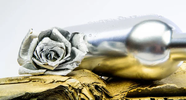DIY ambachten. Zilveren Rose bloem in fles. Grunge schoonheid. luxe en succes. gemetalliseerde antieke decor. rijkdom. Floristiek Business. Vintage retro — Stockfoto
