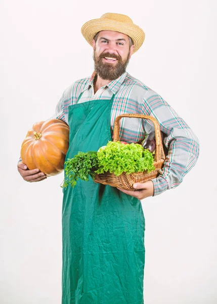 Přinést zeleninu. muž šéfkuchař s bohatou podzimní úrodu. vousatý farmář zralé. organické a přírodní potraviny. Veselý halloween. Dožínky. vitamín sezónní potraviny. Užitečné ovoce a zeleniny — Stock fotografie