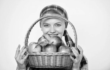 Kız bahçıvan rustik tarzı elma beyaz arka plan tutun. Sağlık ve vitamin beslenmesi. Mükemmel elma. Bakkal. Elma diyetine başlayın. Kadın doğal meyveleri sever. Çiftçi bahçıvan elma hasadı