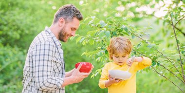 Sağlıklı kahvaltı. Baba oğul yemek yer. Küçük çocuk ve babam yemek yiyor. Beslenme çocuklar ve yetişkinler. Lezzetli yulaf lapası. Organik beslenme. Sağlıklı beslenme kavramı. Beslenme alışkanlıkları. Aile ev yapımı yemeğin tadını çıkarıyor