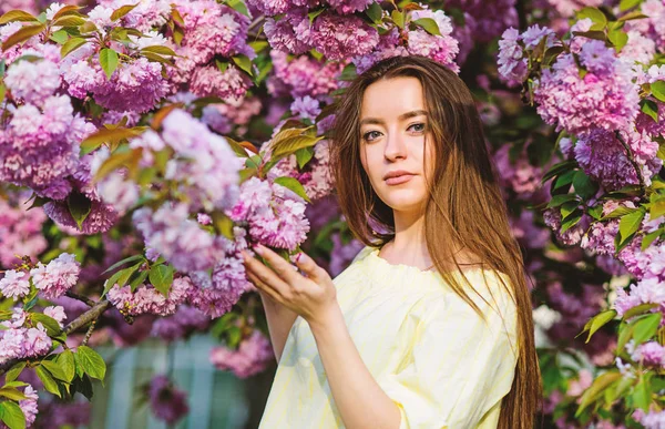 Paraíso floral. Loja de flores. Menina em flor de cereja flor. Árvore Sakura a florescer. Macio e macio. Linda flor e beleza feminina. Mulher em flor de primavera florescer. Cosméticos naturais de pele — Fotografia de Stock