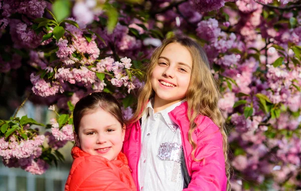 벚꽃 배경의 아이 핑크 꽃. 벚꽃을 즐기는 아이들. 핑크는 저희가 가장 좋아하는 제품입니다. 꽃 부드러운 부드러운 꽃. 아이들은 봄 정원을 즐길 수 있습니다. 사쿠라 정원. 자매 산책 공원 사쿠라 나무 — 스톡 사진