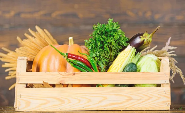 Caixa ou cesta colheita vegetais fundo de madeira. Legumes de excelente qualidade. Conceito de mercearia. Serviço de entrega de legumes frescos da fazenda. Compre vegetais caseiros frescos. Só do jardim. — Fotografia de Stock