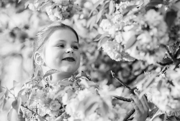 Bloesem geur, allergie. klein meisje in lente bloem Bloom. gelukkig meisje in Cherry bloem. Sakura boom bloeien. Huidverzorging. Natuurlijke cosmetica voor de huid. zomer vakantie. Kindertijd. Geniet van voorjaarsvakantie — Stockfoto