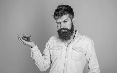 Sakallı adam katı yüz organik davranır sunmaktadır. Sakallı hippi çilek ve elma avuç içinde tutar. Muamele etmek var. Adam çilek denemek teklifler ve elma meyve mavi arka plan davranır