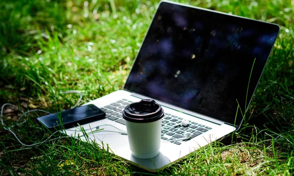summer vibes. Relax. agile business. Online study. university students life. Online shopping. working place outdoor. Free music. computer with headset of mobile phone and coffee to go on green grass