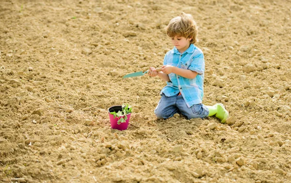 earth day. Eco life. summer farm. ecology life. eco farm. human and nature. happy child seeding on rich soil. Spring season. small kid planting a flower. organic farm plantation. in a greenhouse