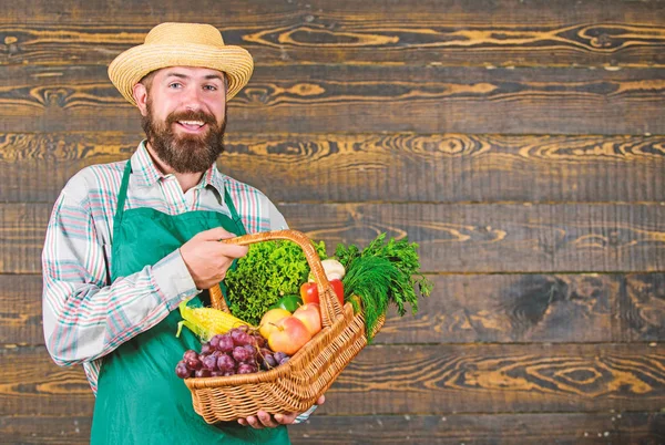 Mezőgazdasági szalma kalap friss zöldségek bemutatása. Mezőgazdasági homegrown zöldség kosárban. Az ember szakállas mezőgazdasági bemutató eco zöldség fa háttér. Fonott kosár-friss bio zöldség — Stock Fotó