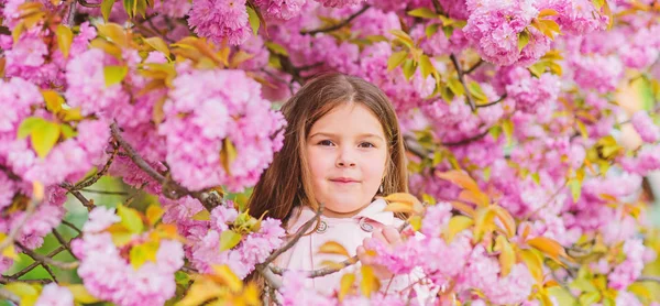 Kind geniet van het leven zonder allergie. Snuiven bloemen. Zich te ontdoen van seizoensgebonden allergie. Meisje genieten van florale aroma. Pollen allergie concept. Kid op roze bloemen Sakura boom achtergrond. Allergie remedie — Stockfoto