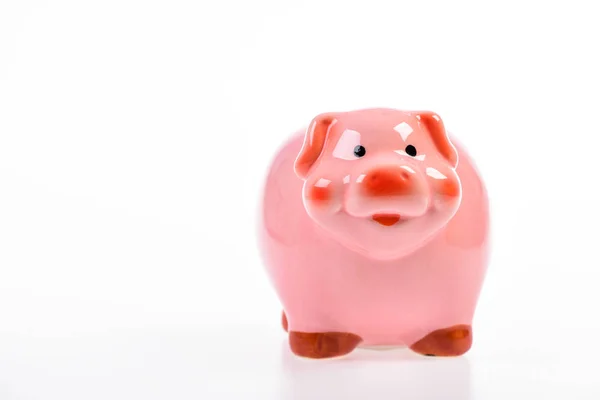 Money saving. income management. financial problem. planning budget. piggy bank isolated on white. copy space. Piggybank and money. investments in the form of a toy pig piggy bank. Time to relax — Stock Photo, Image