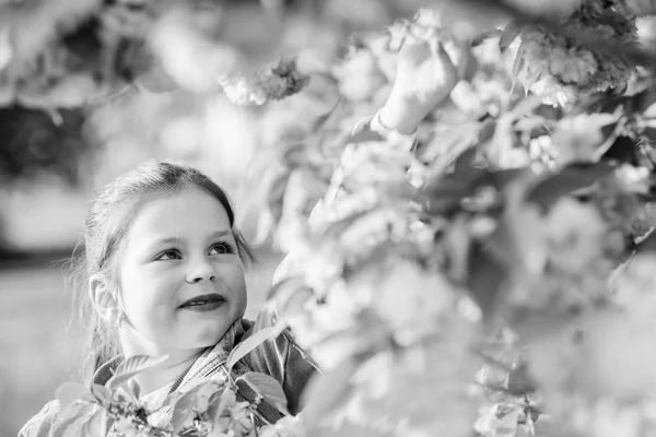 Šťastná dívka v třešňově květině. Kvetoucí strom Sakura. vůně, alergie. malá holčička v jarním květu. na potřebou. Přírodní kosmetika pro kůži. letní prázdniny. Dětství. Perfektní jarní den — Stock fotografie