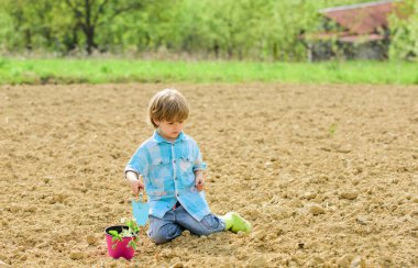 Bahçede küçük yardımcı. Çocuk alanda zemin Ekim çiçek oturup. Çiftlikte eğlenceli zaman. Bahçe konsepti. Çocuk küçük kürek ve pot bitki ile eğlenin. Fidanları dikmek. Sahada dikim