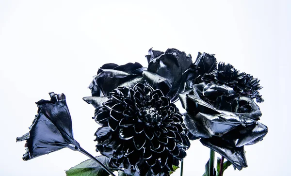 Schöne schwarze silberne Blume. silberne schwarze Chrysantheme und Rosenblüte. metallisiertes antikes Dekor. Vintage-Retro. Reichtum und Reichtum. Floristik. Grunge-Schönheit. isoliert auf weiß — Stockfoto